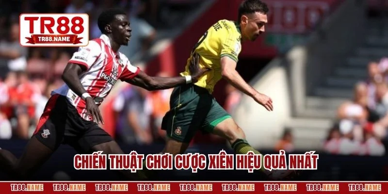 Chiến thuật chơi cược xiên hiệu quả nhất